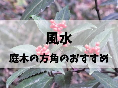 陽木 陰木 風水|庭木の吉凶について 